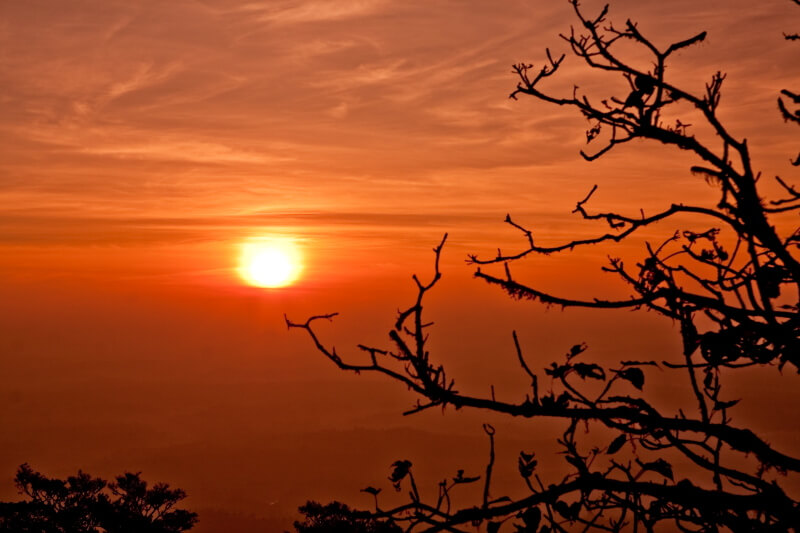 Agumbe