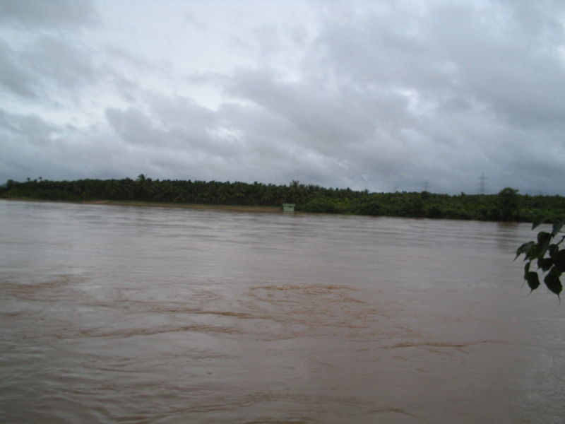 Gangamula