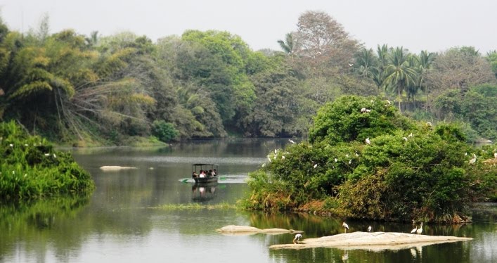 Ranganathittu